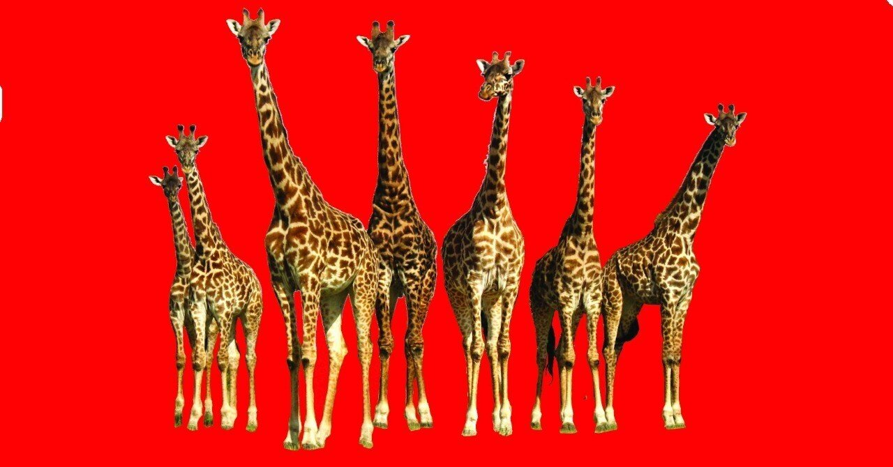 まるまるサファリの本 ケニア・タンザニア旅ガイド ver.3 ケニア