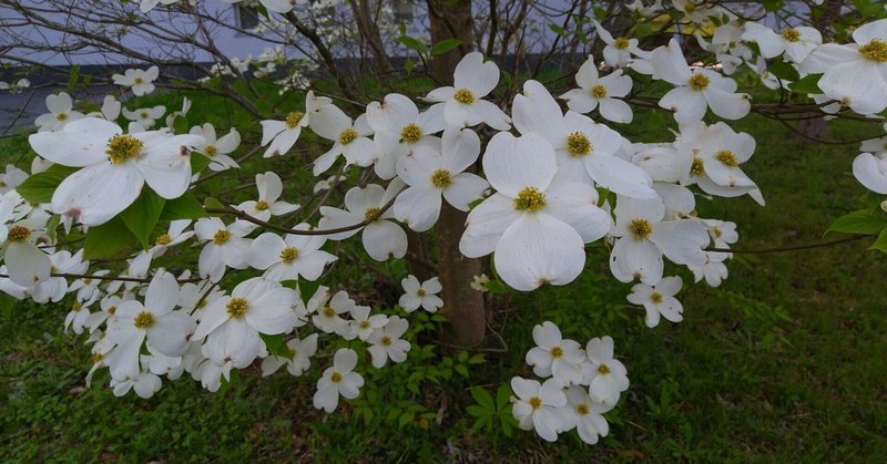 2022年4月、帰省しました　その9（全体の感想）