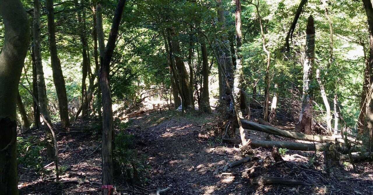 息子が山で遭難した日のこと 琲音 はいね Note