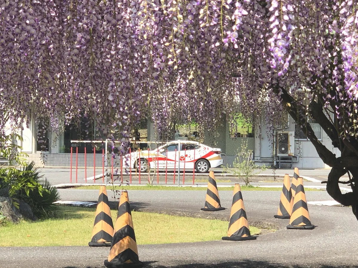 画像2