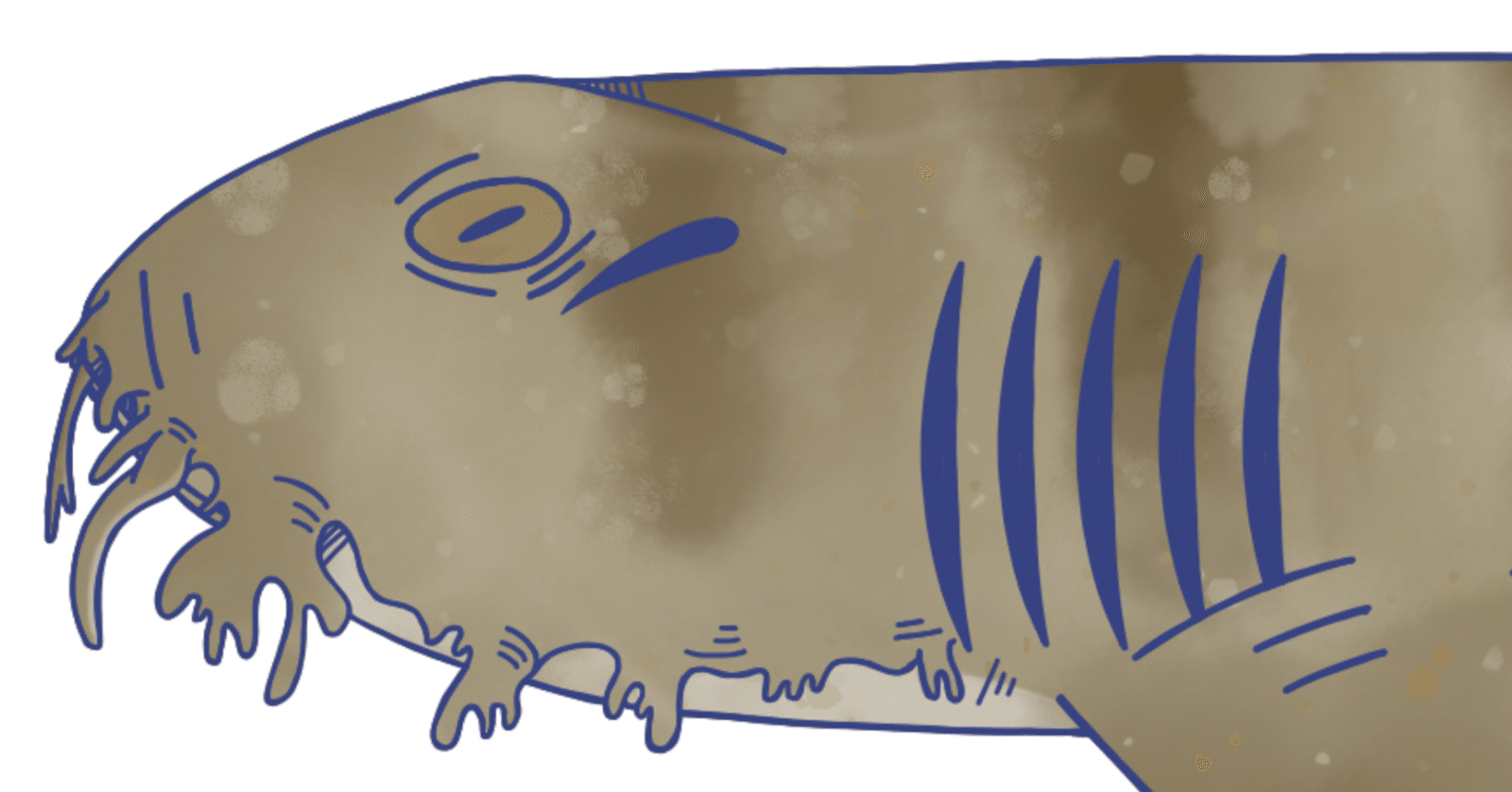 首を切断しても襲ってくるサメがいるってホント？｜SBクリエイティブ