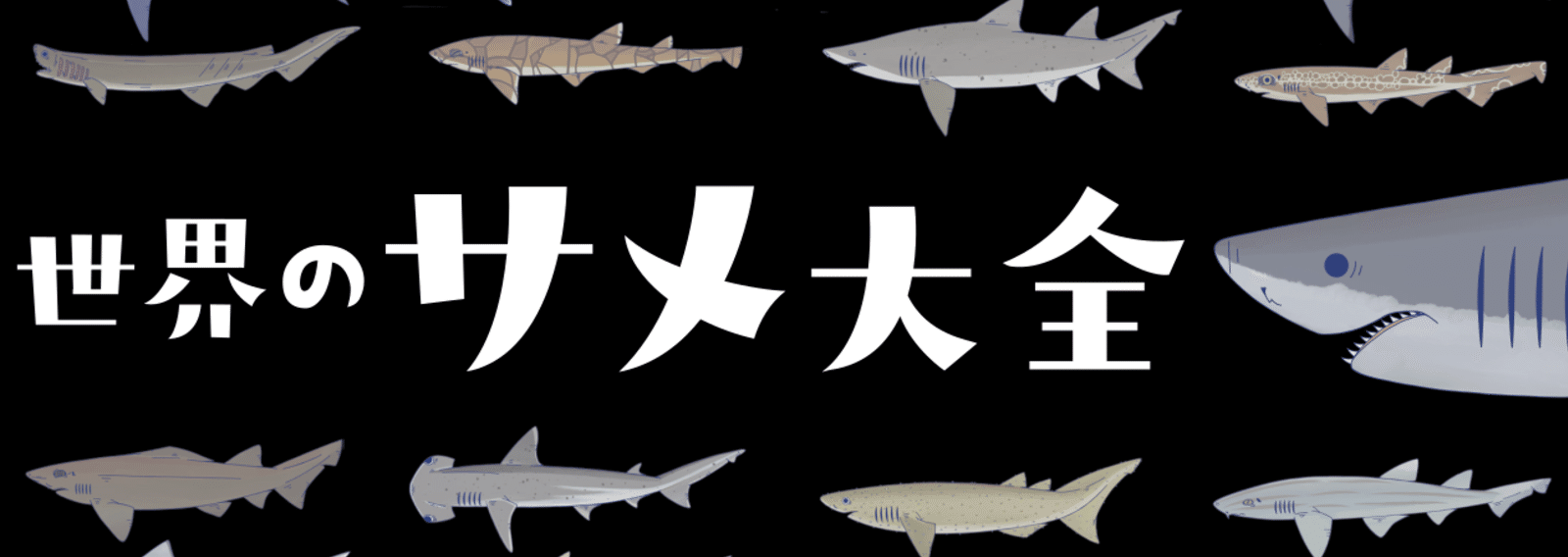 世界のサメ大全 サメ愛好家が全身全霊をささげて描いたサメ図鑑 Sbクリエイティブ Web Books