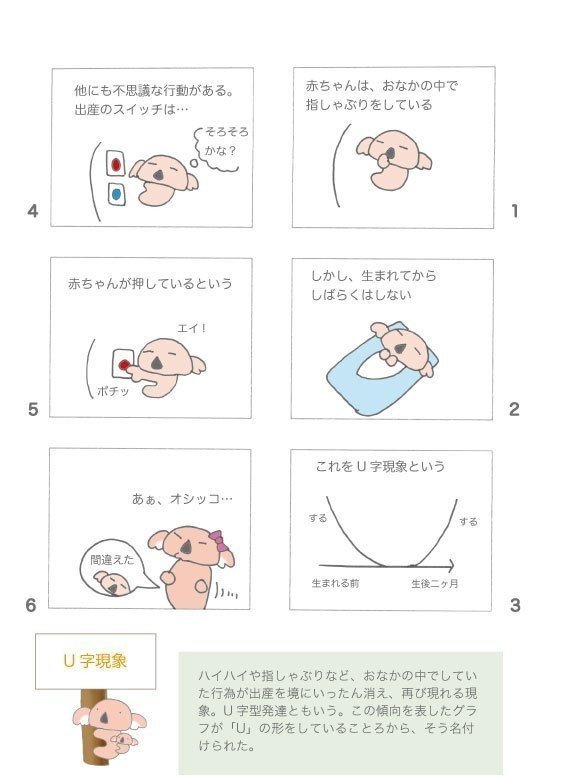 赤ちゃんの行動と性格 育児心理 発達心理 ポーポー ポロダクション Note