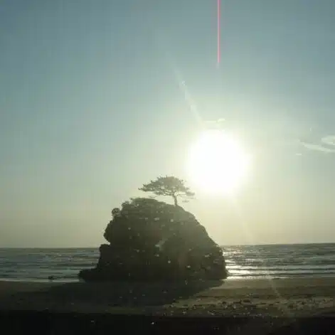 出　雲太（いず　うんた）