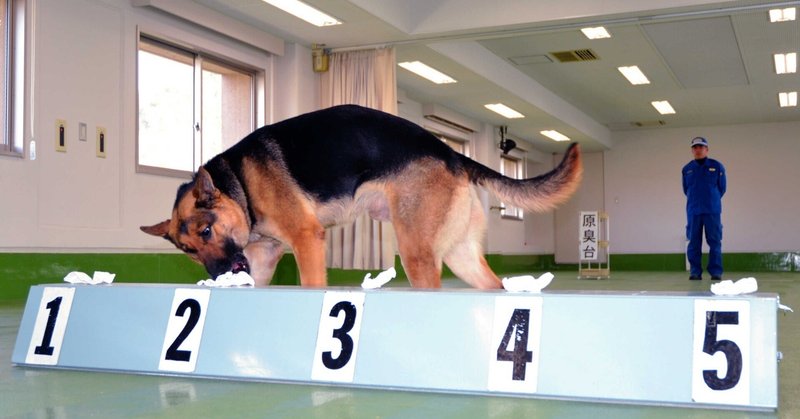 かすかな臭いを手がかりに―。警察犬の世界