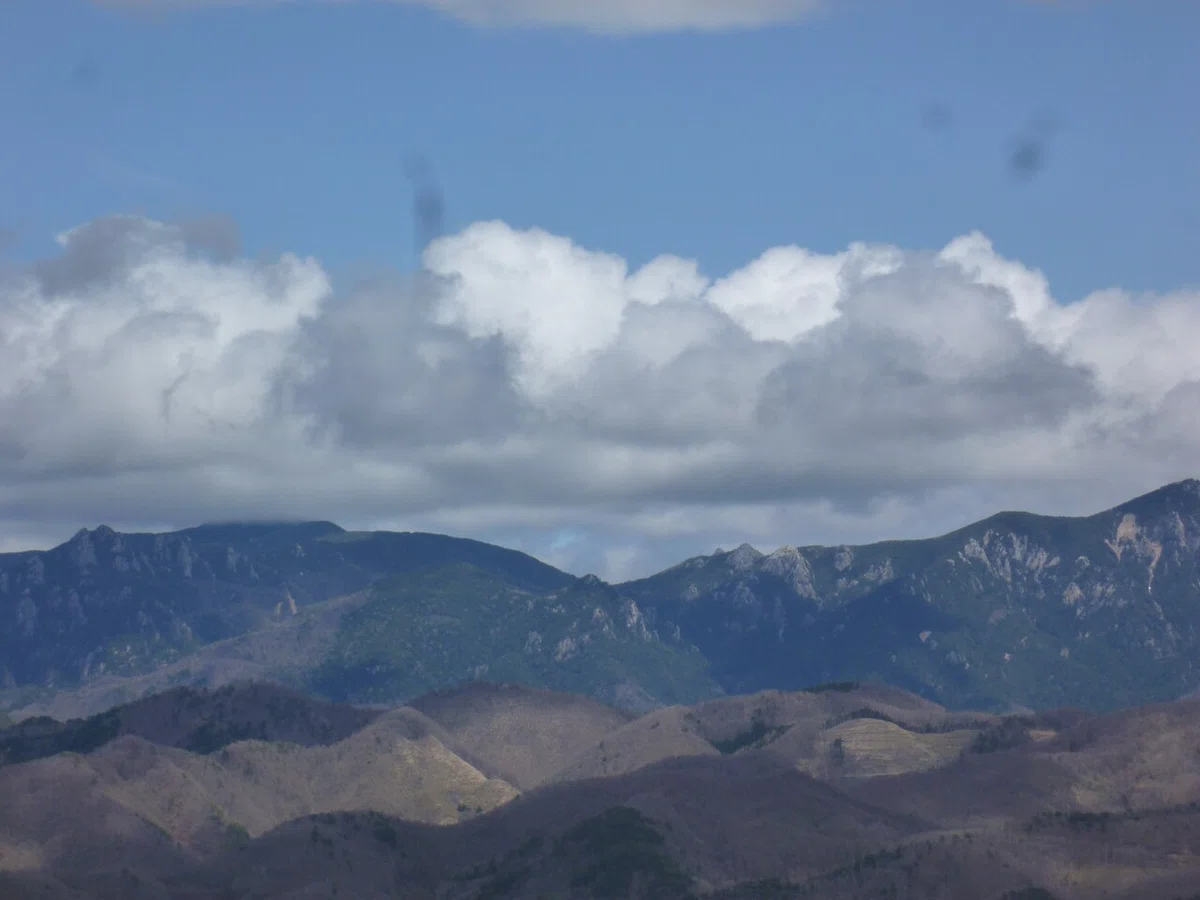画像50