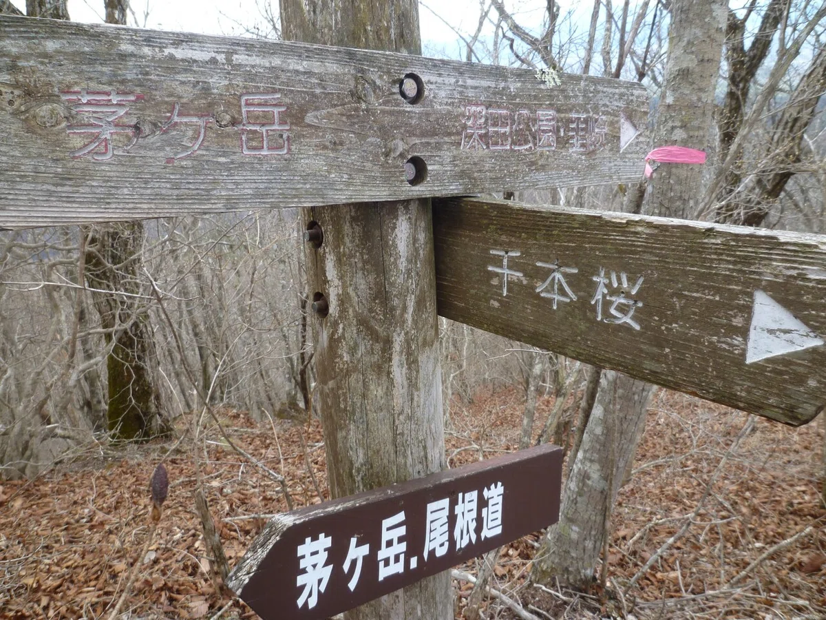 画像52