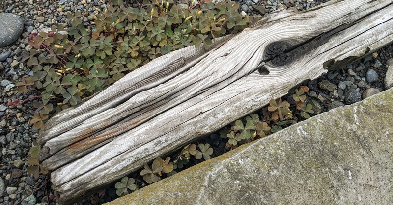 ヘンリー デイヴィッド ソロー の新着タグ記事一覧 Note つくる つながる とどける