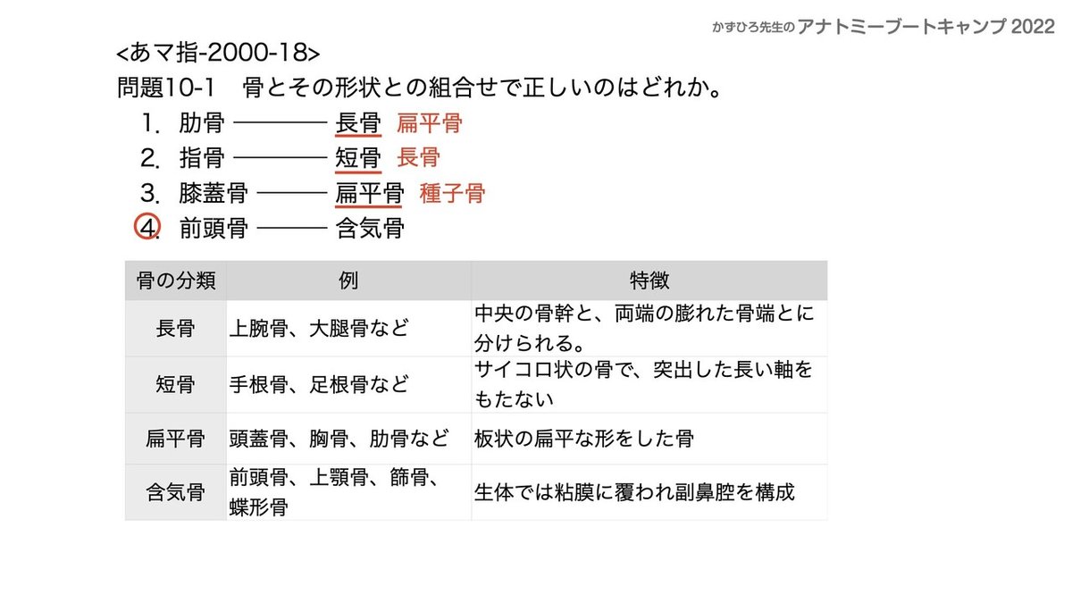 アナトミーブートキャンプ2022 第10章 運動器系（1）骨系｜かず