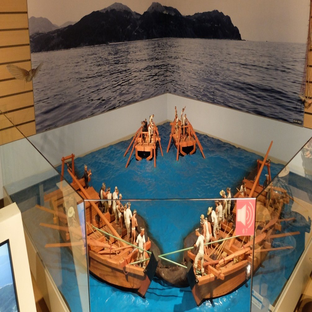 トビウオをめぐる民俗誌 ー宮崎県都井岬のトビ網漁ー｜K.WATANABE