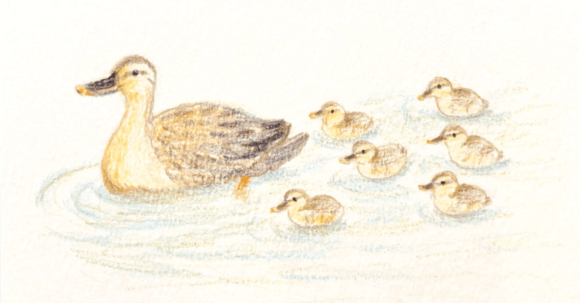 カモに注意！ カルガモ親子横断の季節です｜柿生隠者（かきお・いんじゃ）