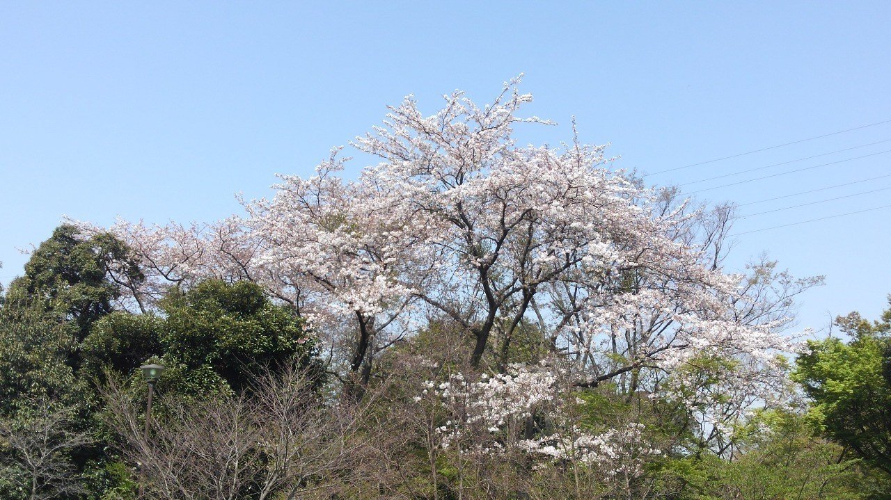 徒然草 其一 対義語のあるところ Edward Note