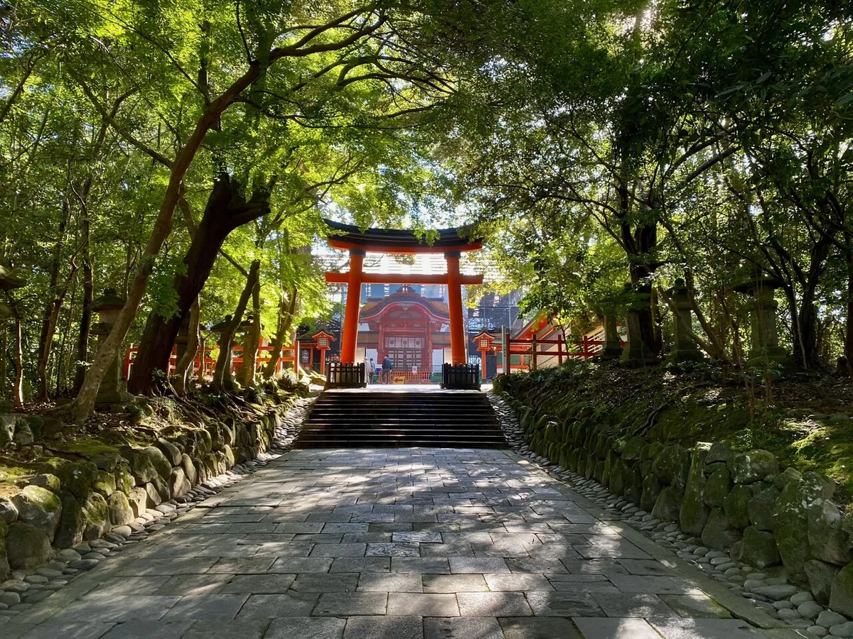 画像6