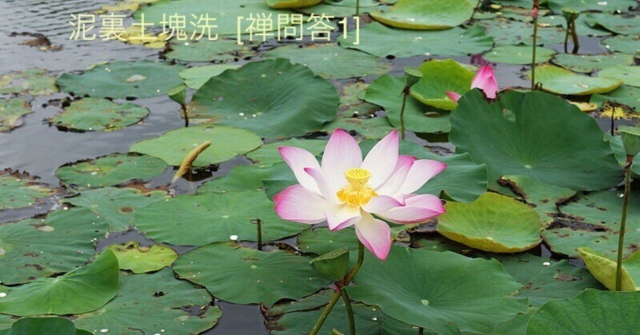 蓮の華が咲くことを願い続ける蓮の葉でありたい 禅語1 泥裏洗土塊い I Want To Be A Lotus Leaf That Keeps Wishing For Lotus Flowers アスライト 日本伝統文化 技術を世界へ Note