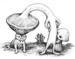 画像15
