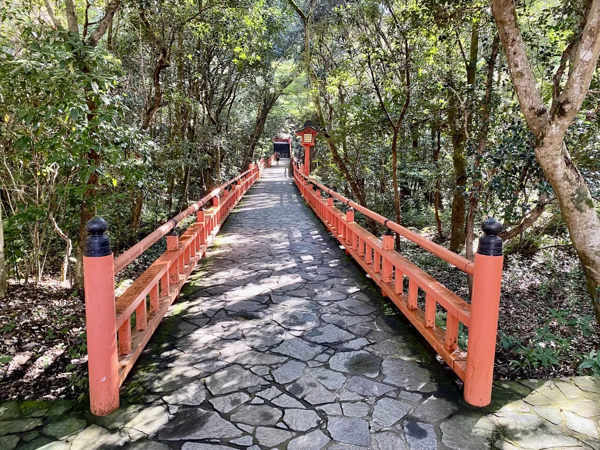 画像11