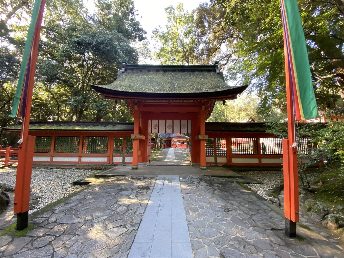 画像12
