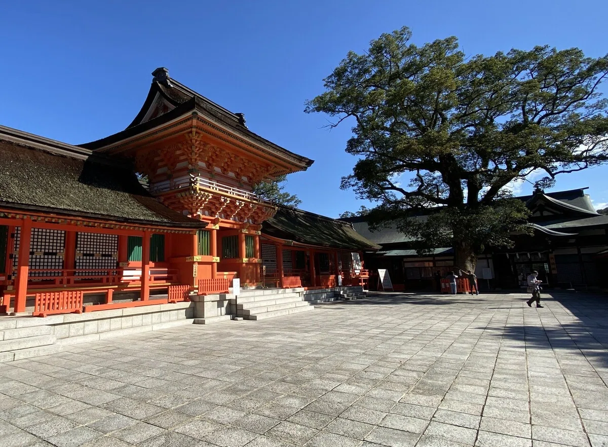 画像13