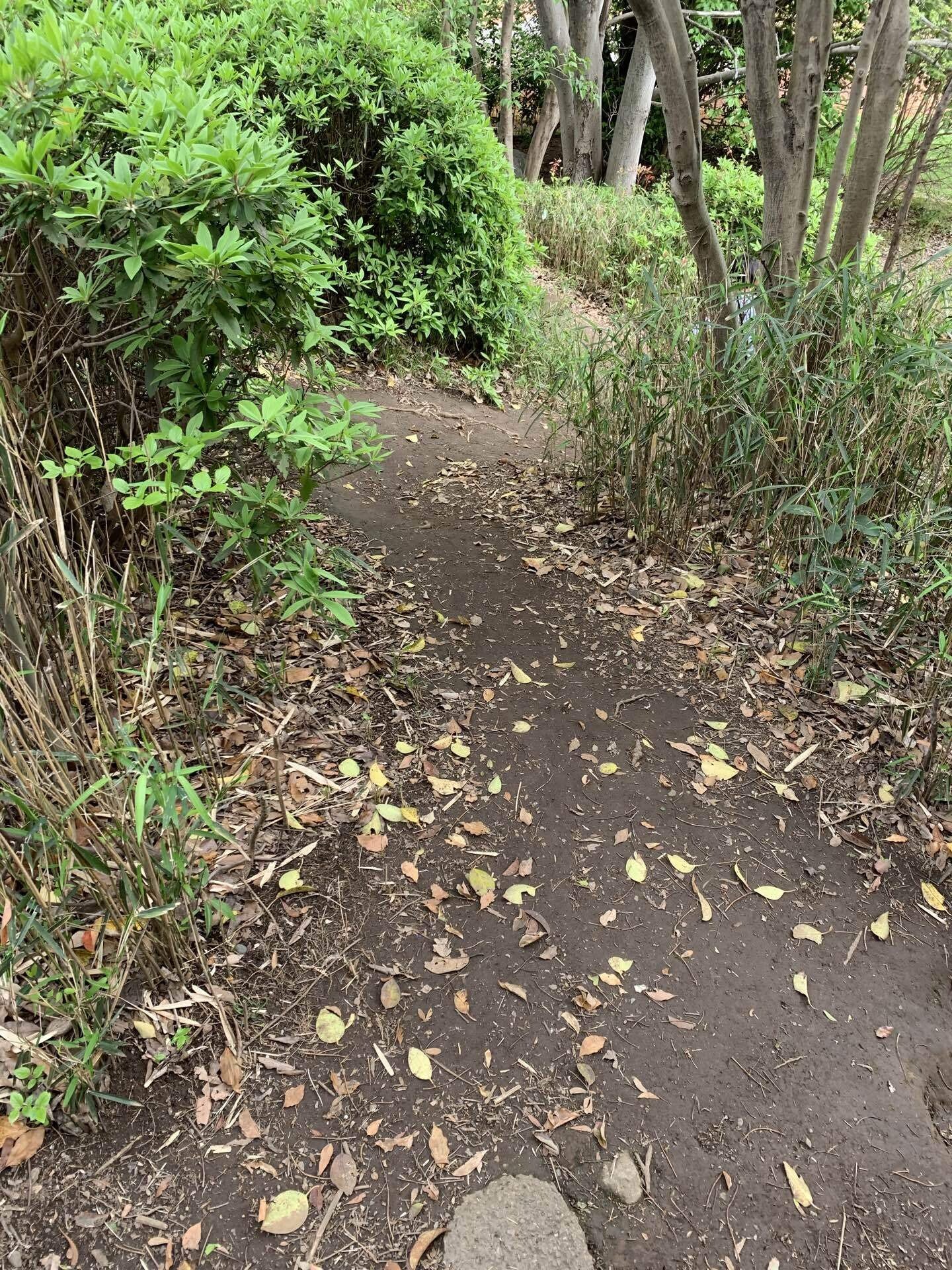 獣道 の新着タグ記事一覧 Note つくる つながる とどける