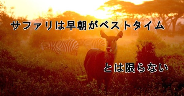 まるまるサファリの本』＊サファリ取材の裏ばなし - ケニア