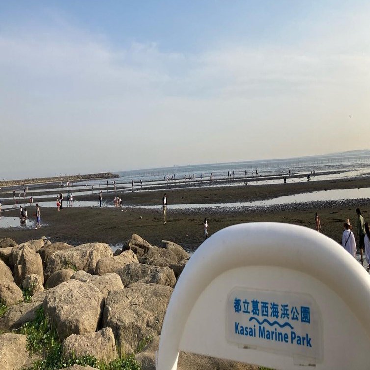 砂浜ピクミンを探しに東京の浜辺に行った Habitaso Note