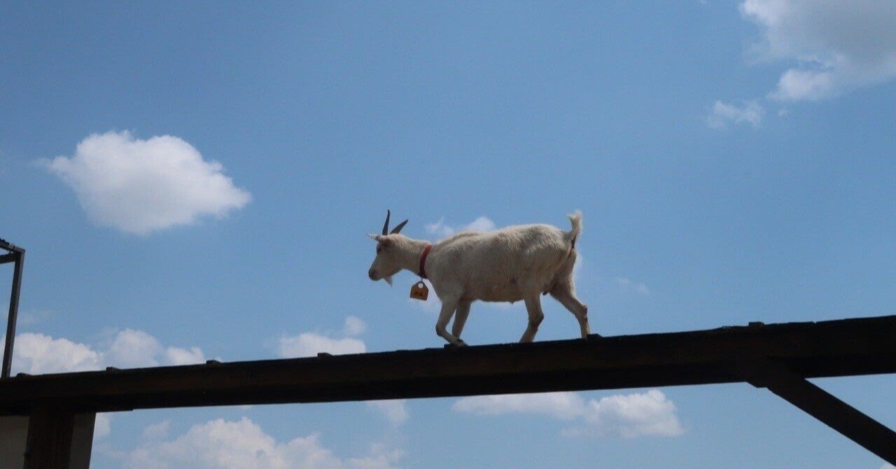 絵本を読む 三びきの やぎの がらがらどん 中村 葦 Note 絵本を読む 三びきの やぎの がらがらどん 中村 葦 Note