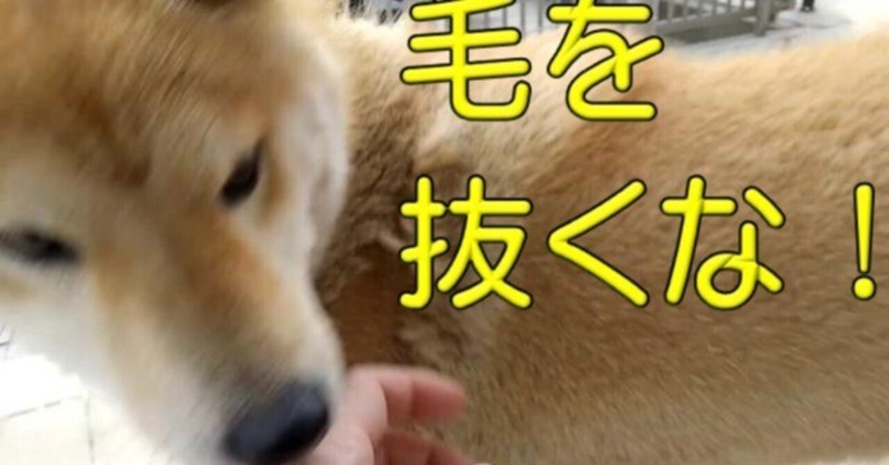 季節の変わり目に毛を抜くと怒る犬 犬山翔太 Note 季節の変わり目に毛を抜くと怒る犬 犬山翔太 Note