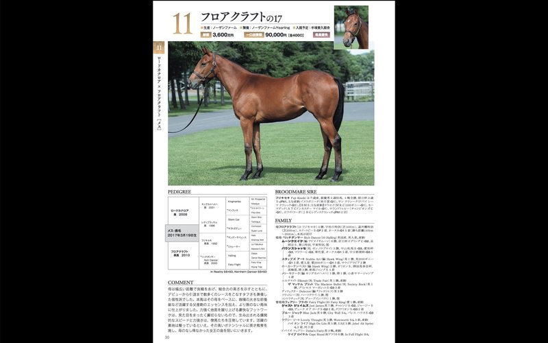 馬神レーシング キャロットクラブ18年一口馬主考察 関東馬編 馬神 傑 Note 馬神レーシング キャロットクラブ18年一口馬主考察 関東馬編 馬神 傑 Note