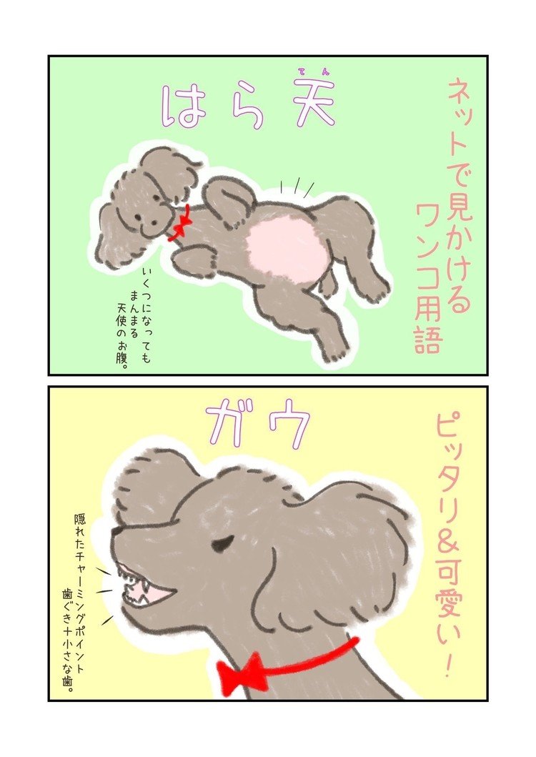 英語のdoggoとかも可愛いよね。