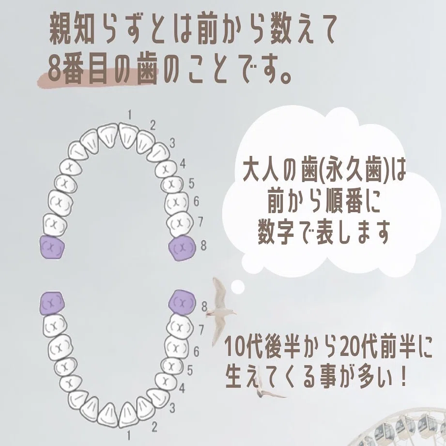 親知らず 放置するとどうなるの Dental Studio Note