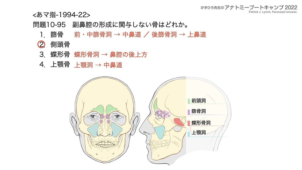 関節の構造と機能 アナトミーブートキャンプ2022 第10章 運動器系（1）骨系｜かず