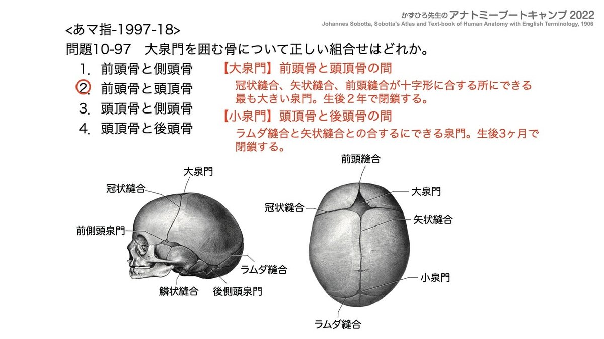 アナトミーブートキャンプ - 10.運動器系2022.202