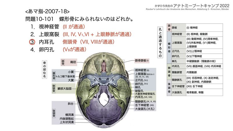 アナトミーブートキャンプ - 10.運動器系2022.210