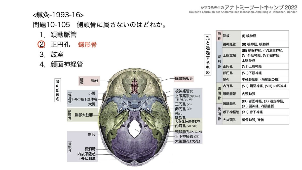 アナトミーブートキャンプ - 10.運動器系2022.218