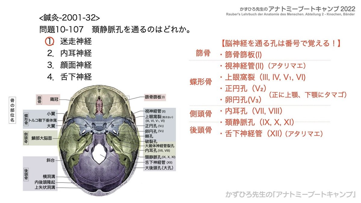 アナトミーブートキャンプ - 10.運動器系2022.222