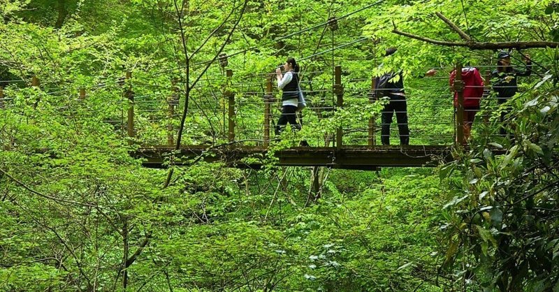 2022年4月24日　高尾山(599m)