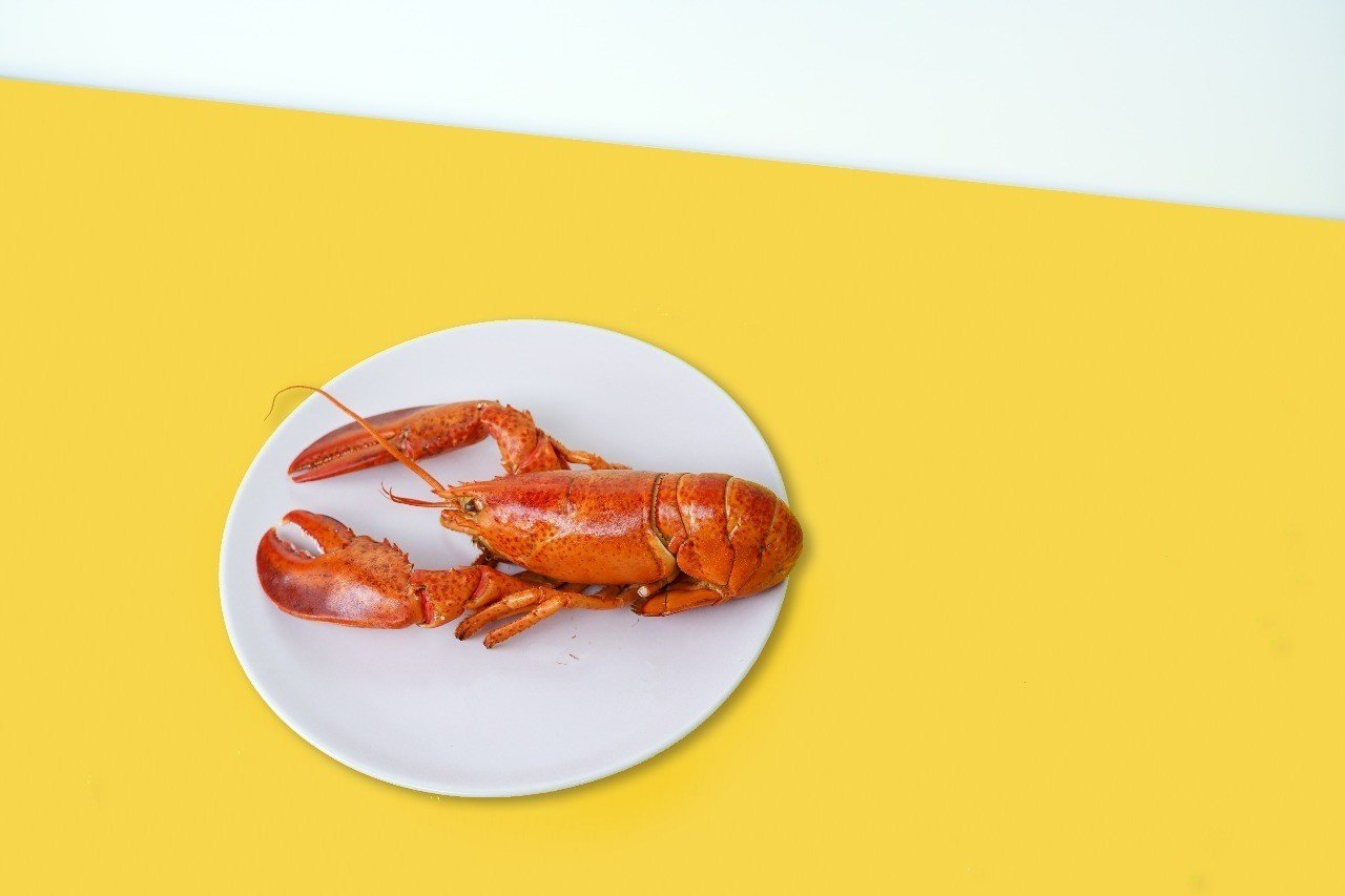 魚料理は ワンプレート皿と共存していこう 渥美まいこ 食トレンド研究 Note