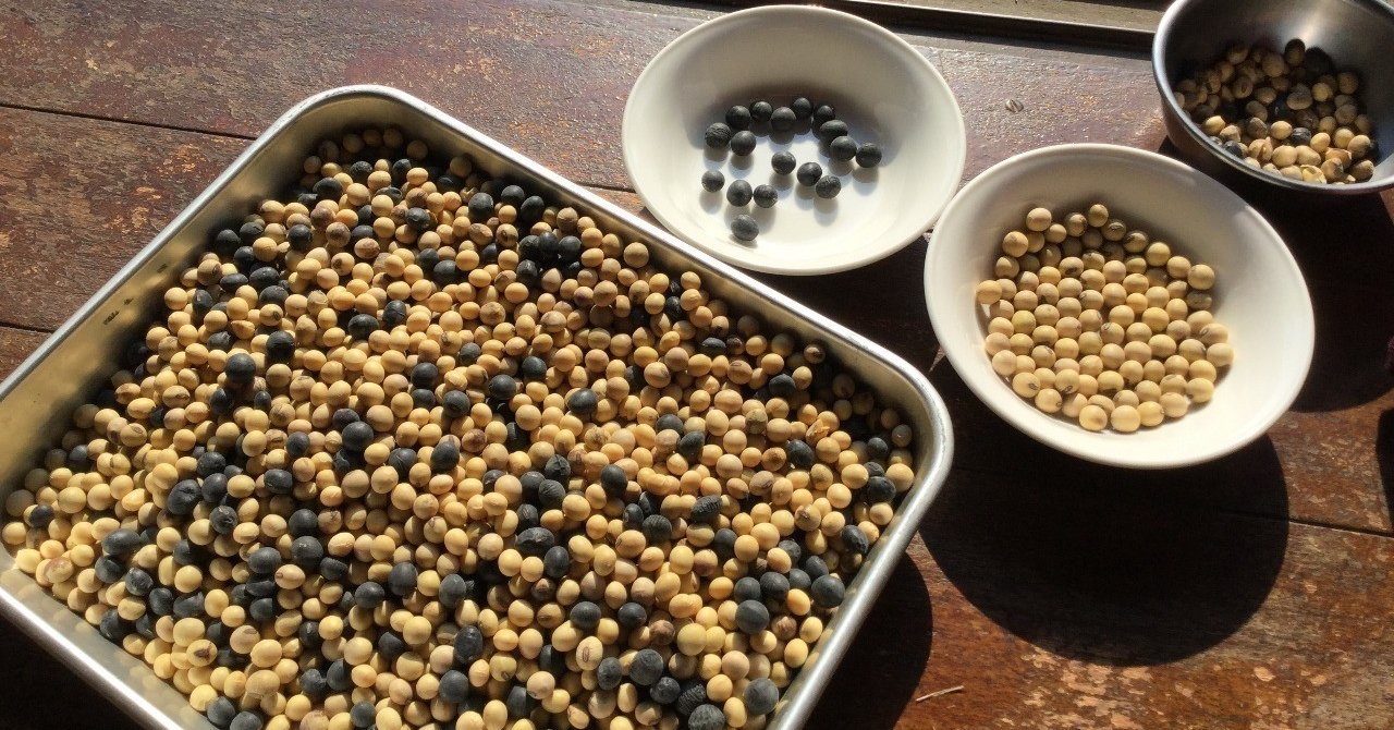 いっぱい と たくさん ってどっちが多いんですか ニュースが少しスキになるノート From Tbs News Dig Powered By Jnn Note いっぱい と たくさん ってどっちが多いんですか ニュースが少しスキになるノート From Tbs News Dig Powered By Jnn Note