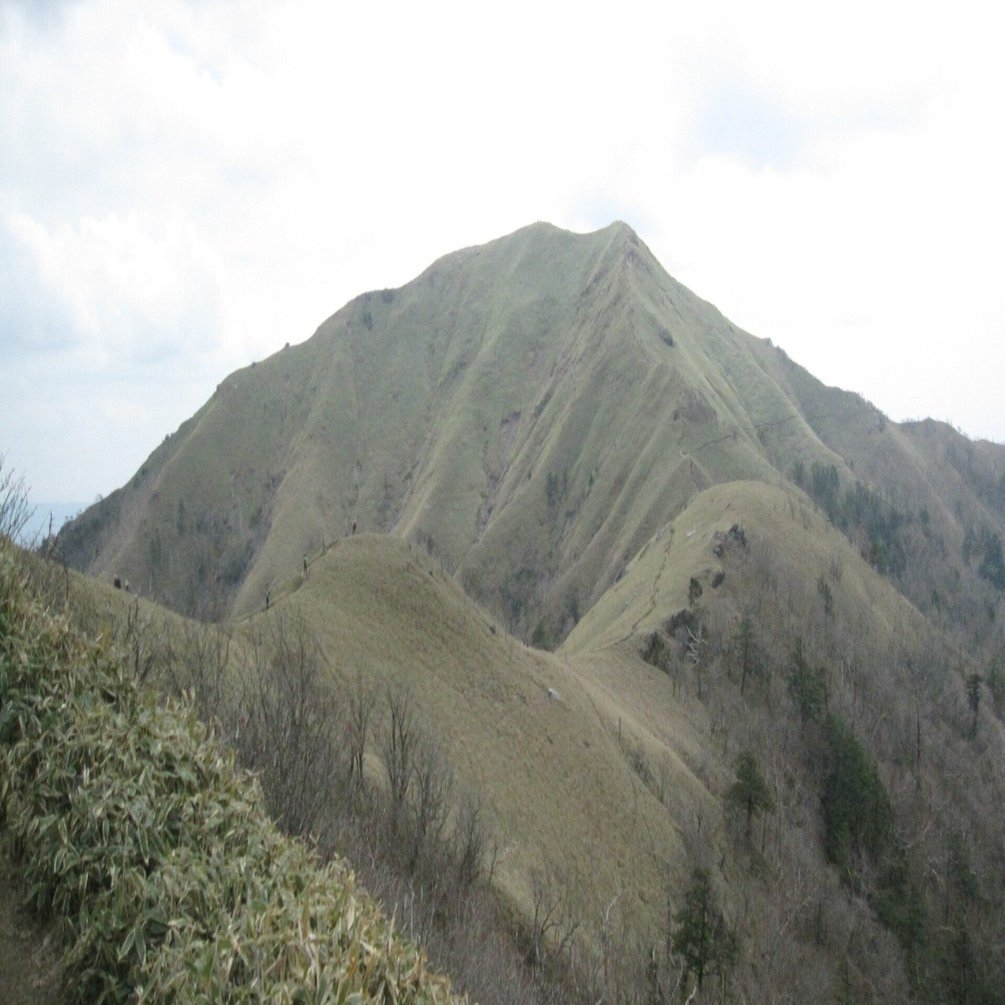 ワタクシ流☆絵解き館その129 孔雀と坂道―こんないい絵が、ひっそりと