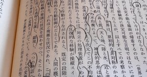 グアヤキ年代記―遊動狩人アチェの世界 (インディアス群書) (イン