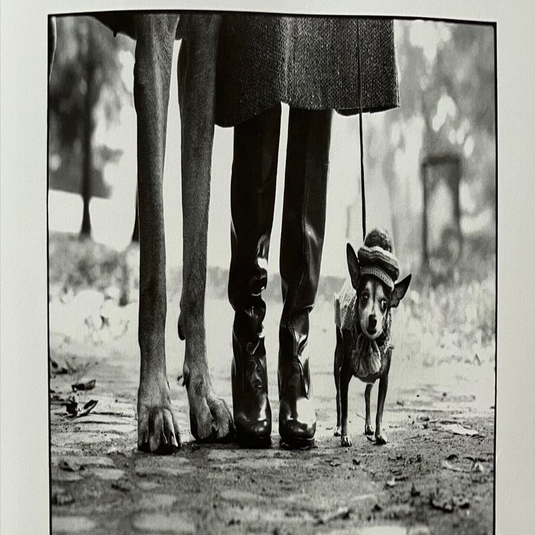 未開封 エリオット・アーウィット ELLIOTT ERWITT'S DOGS エリオット・アーウィットとThe Family of Man｜インウェイとスオイ