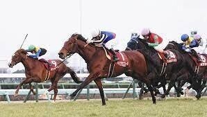 第345話 5 1阪神11r 天皇賞 春 にゃむ師匠 北斗とにゃむ師匠 Note 第345話 5 1阪神11r 天皇賞 春 にゃむ師匠 北斗とにゃむ師匠 Note