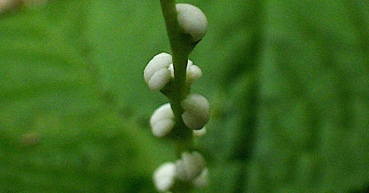 いつまでも一緒に Taku Note いつまでも一緒に Taku Note