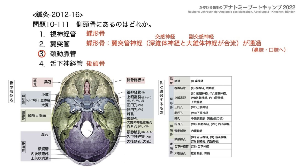 アナトミーブートキャンプ - 10.運動器系2022.230