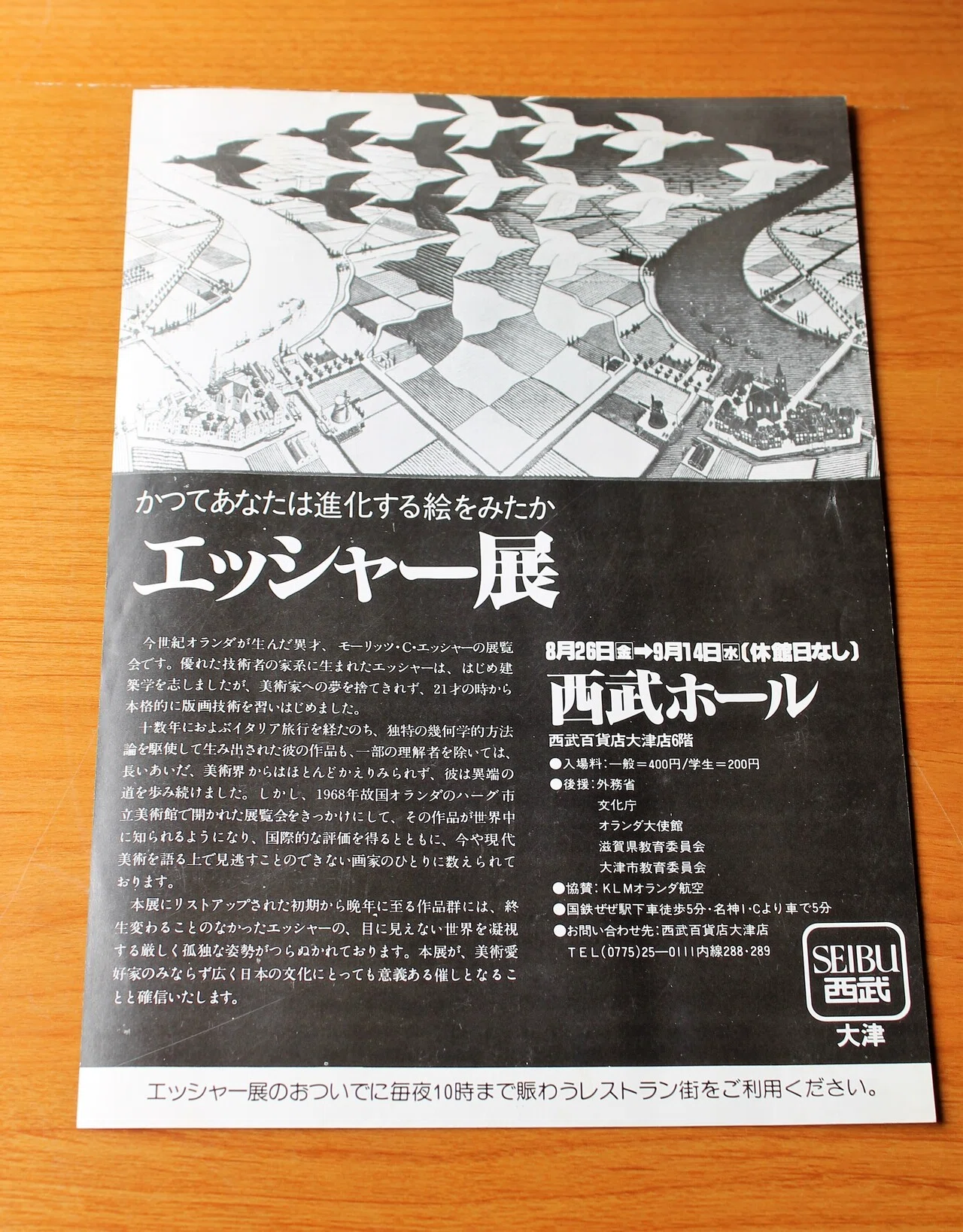 1977年のエッシャー展｜大屋好子