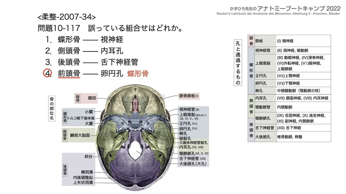 アナトミーブートキャンプ - 10.運動器系2022.242