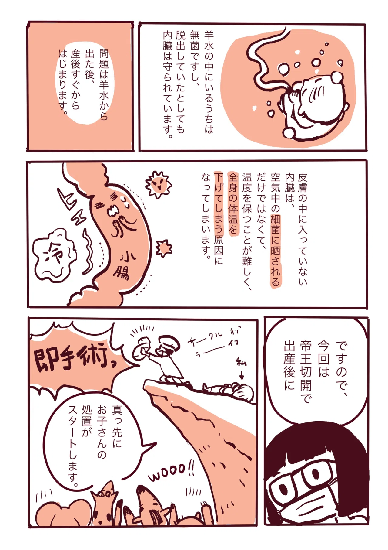 産前に腹壁破裂という症状が見つかりました 渡邊 春菜 Note 産前に腹壁破裂という症状が見つかりました 渡邊 春菜 Note