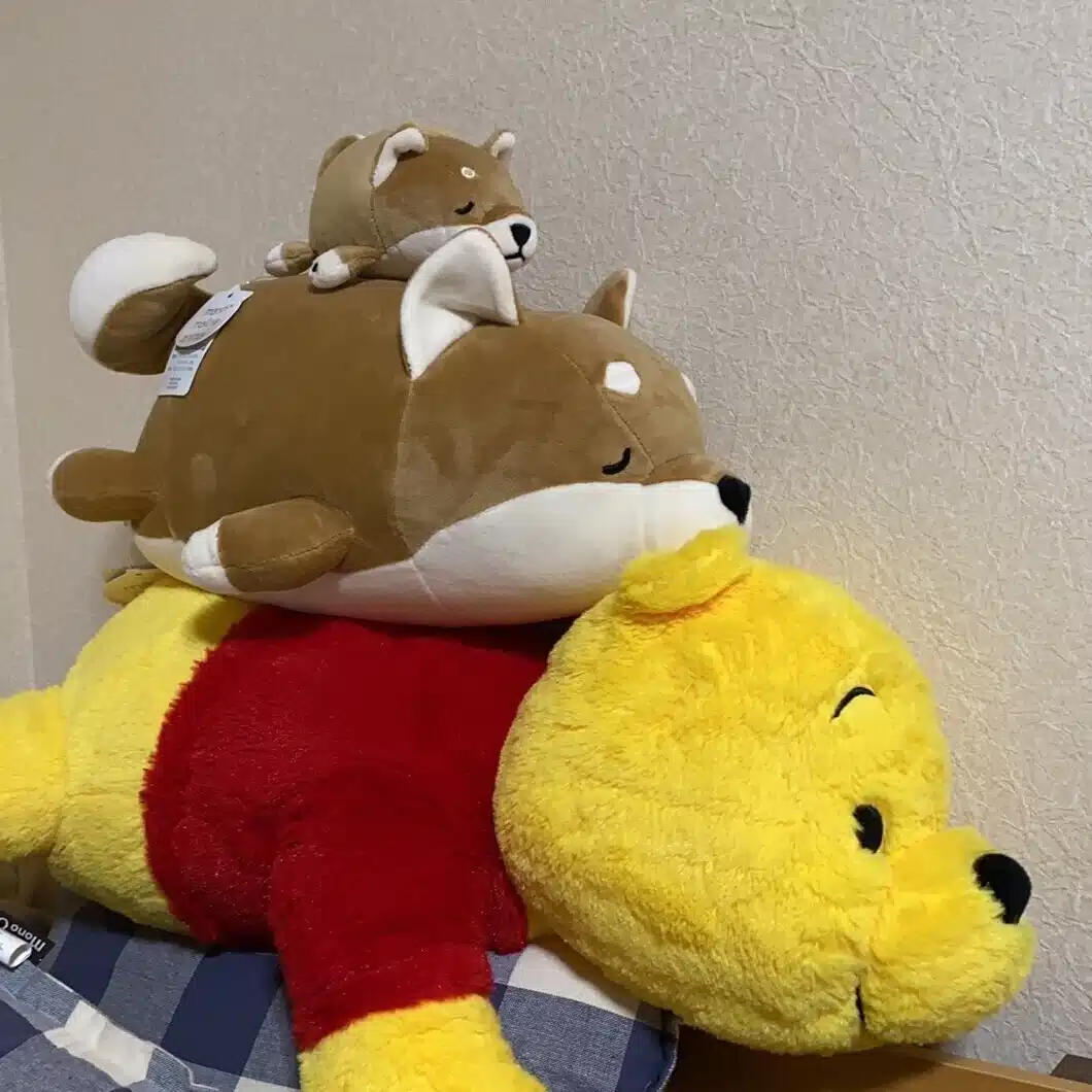 ふみっち