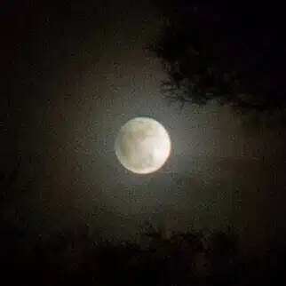 慈正