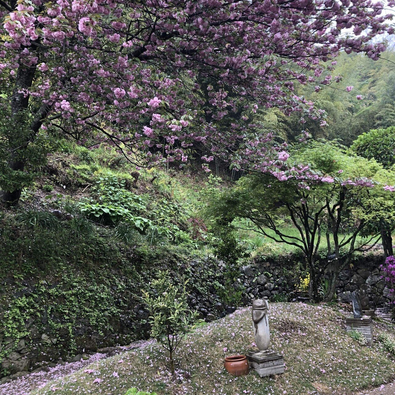 花を愛でる心の余裕を日々持っておきたい 最近は夜になると まぶたがお互いに早くくっつきたいって急かし出す もっとやりたいことがあるんだけど それよりも夢の世界へ誘われて意識は壮大な無意識へと運ばれる たま 7つの習慣 実践会認定ファシリテーターでお